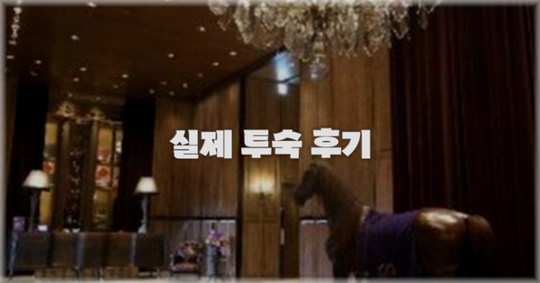 💬 실제 투숙 후기