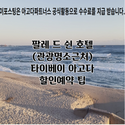 팔레 드 쉰 호텔 (관광명소근처) 타이베이 아고다 할인예약 팁